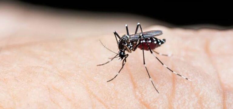 Maharashtra: Special Committee Formed To Regulate Dengue ELISA Testing Charges