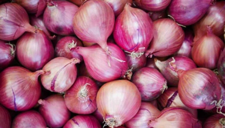 Onion Export Ban Controversy: Discrepancies in Government Statements Raise Concerns