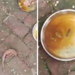 Sitapur School Mid-Day Meal Row: Principal Suspended Over Poor Food Quality, Hygiene Lapses