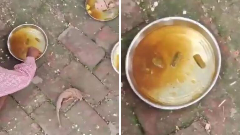 Sitapur School Mid-Day Meal Row: Principal Suspended Over Poor Food Quality, Hygiene Lapses